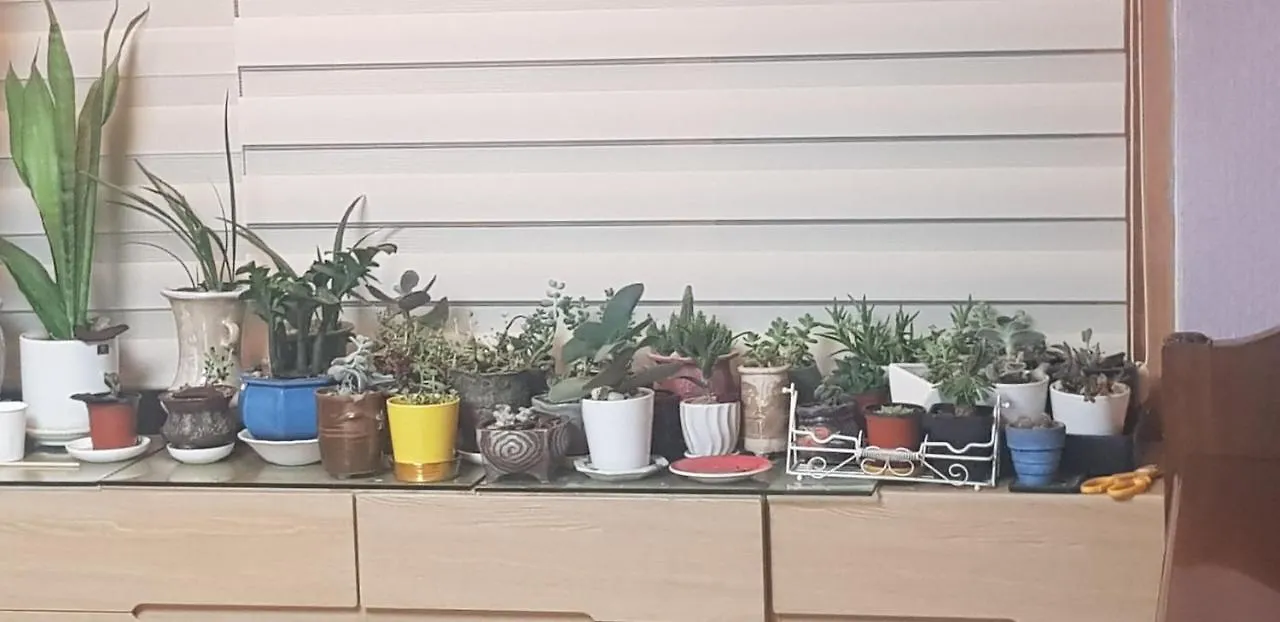 Homestay Yire House Apartment Seoul South Korea